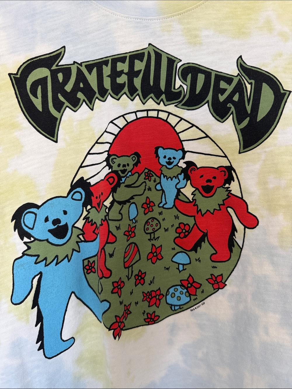 Junk Food Clothing Grateful Dead Tie-Dye Crop Tee - Blue & Green - Picture 7 of 7